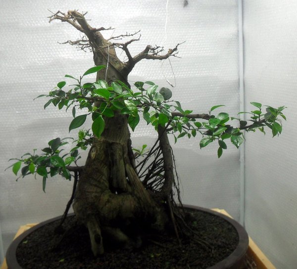 SDC12860.JPG