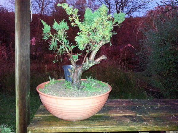 20121104_171937ab.jpg