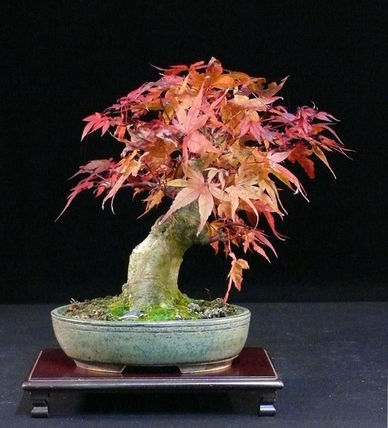 P1070318k.JPG