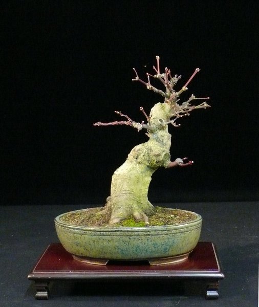 P1070326k.JPG