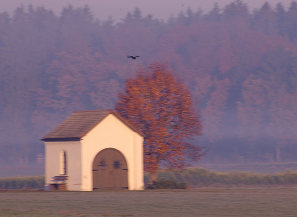 Dsc_1791v.jpg
