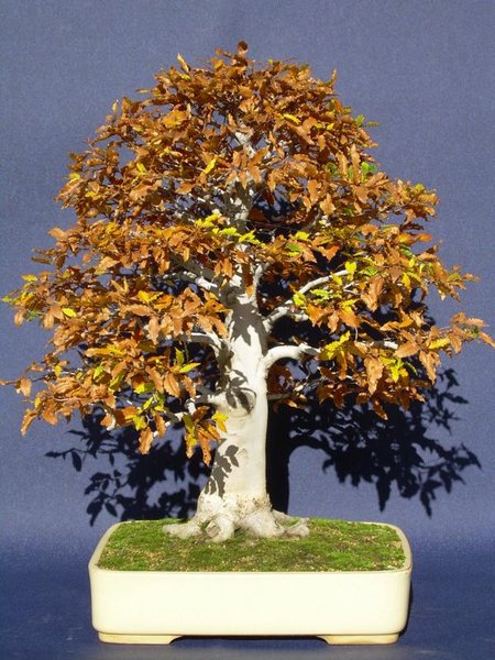 K800_5.11.2012 006.JPG
