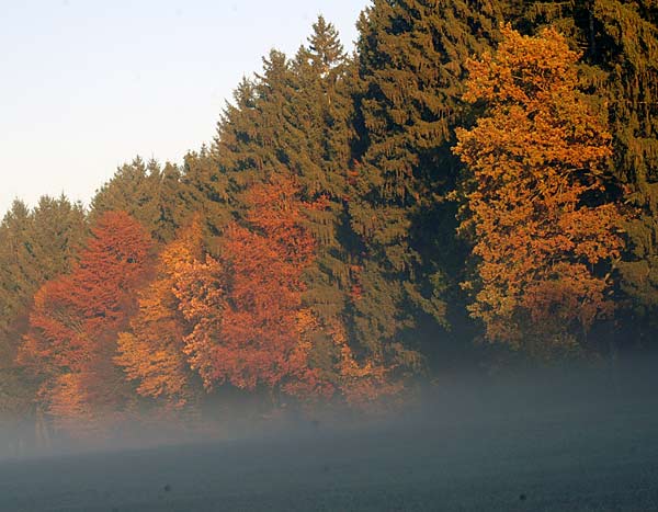 Dsc_1789v.jpg