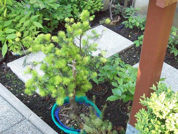 Mai 2012