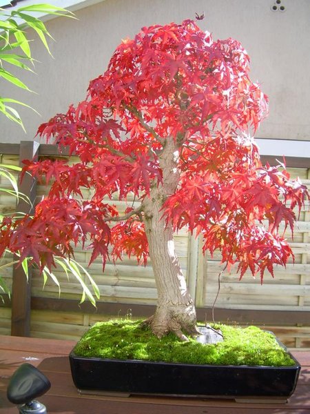 K800_19.10.2012 002.JPG