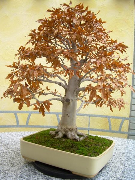 K800_001.JPG