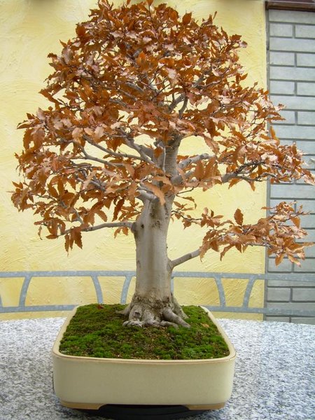 K800_002.JPG