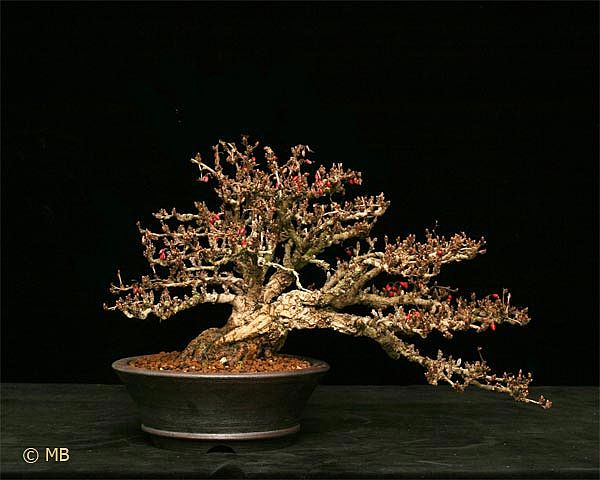 "Abschlußfoto"