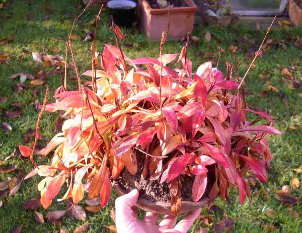 2012-10-07 05.33.46.jpg
