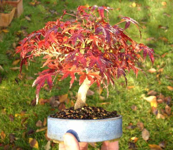 2012-10-07 05.31.08.jpg