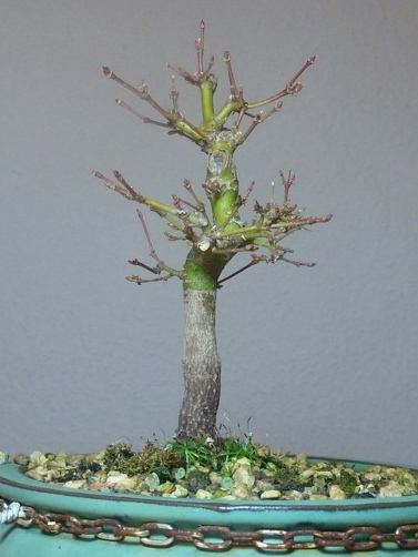 Foto von November 2012