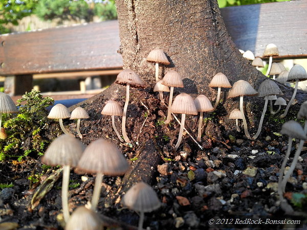 4blog-2012-08-12_19-05-42.jpg