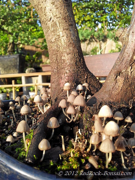 4blog-2012-08-12_19-07-34.jpg
