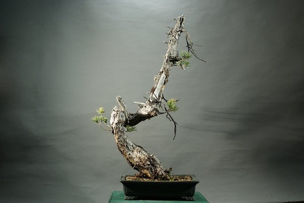 Dezember 2011