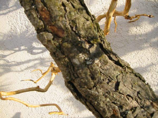 Stammdetail