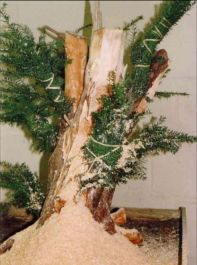 Holzbearbeitung der Keinz-Eibe
