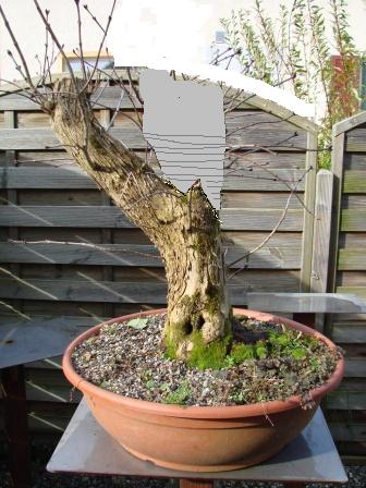 DSC02200.JPG