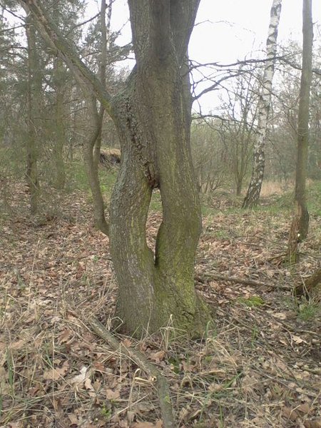 k-Foto-0008.jpg