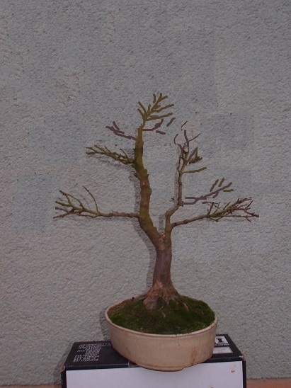 PC010) - Kopie.JPG
