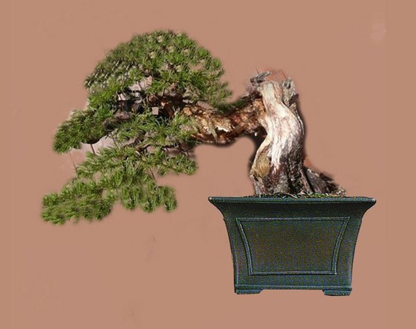 k-Hans Kiefer_bearbeitet-3 Kopie.jpg