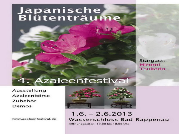 Bad Rappenau 2013