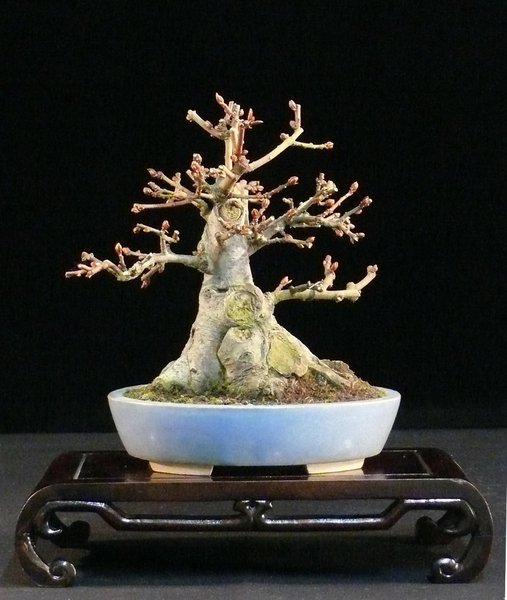 P1070425k.JPG