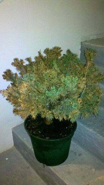 2012-12-20_16-31-44_585.jpg