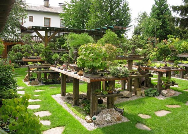 Bonsaigarten.jpg