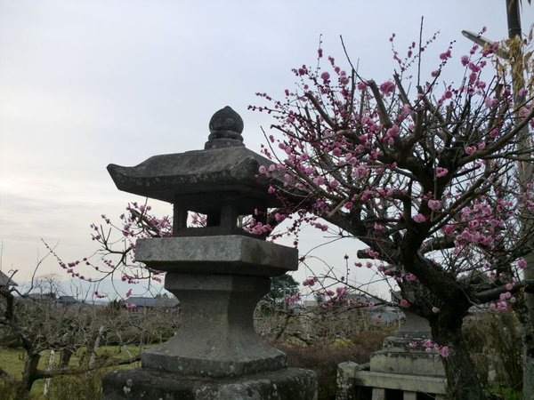 Kurume, Fukuoka, Japan