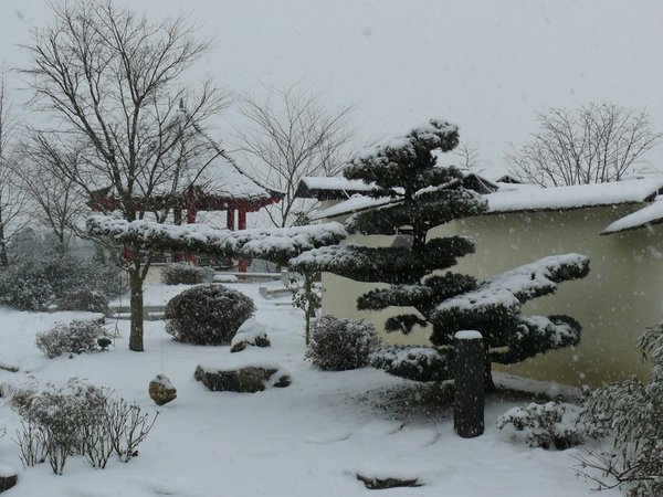 P1070688k.JPG (183.68 KiB) 2207 mal betrachtet Winterliche Eindrücke im Garten des Bonsaizentrum Münsterland