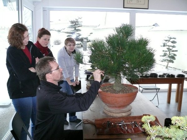 P1070700k.JPG (169.96 KiB) 2207 mal betrachtet Michael bespricht die japanische Schwarzkiefer, die Irene (links, daneben Simone und Sabrina) sich als Workshopbaum ausgesucht hatte. Der Baum ist in Frankreich aus Samen gezogen und im Feld kultiviert worden.