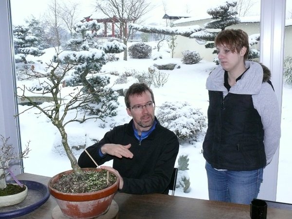P1070710k.JPG (200.33 KiB) 2207 mal betrachtet Sabrina hatte eine Eiche und eine kleine japanische Kerbbuche dabei