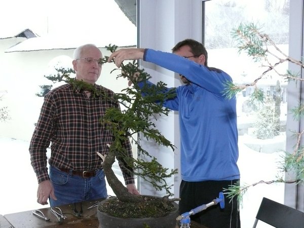 Peters Fichte gefiel Michael: "very nice tree" sagte er mehrmals.