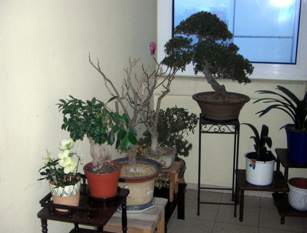 05.jpg