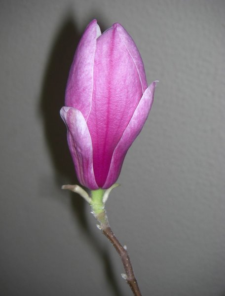 07.jpg