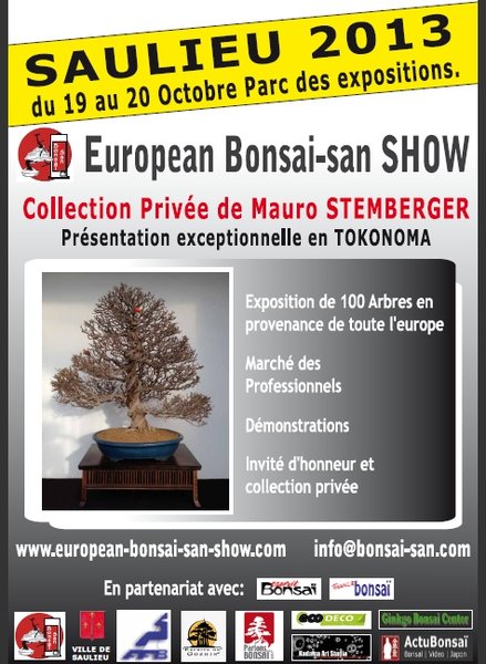 mini_AfficheSaulieu2013.jpg