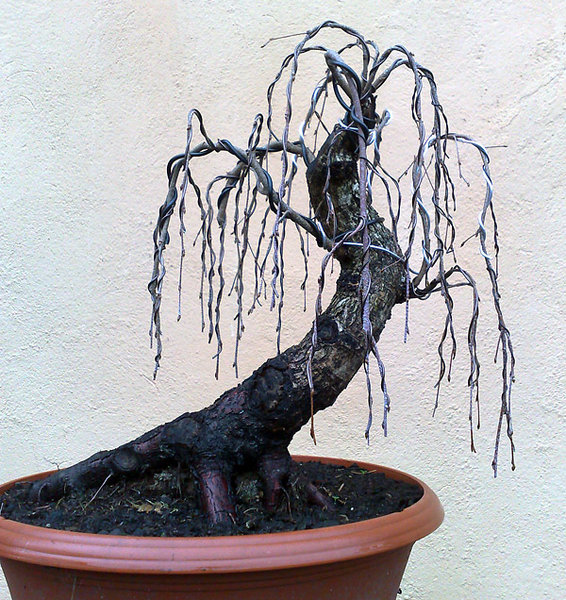 Oktober 2010