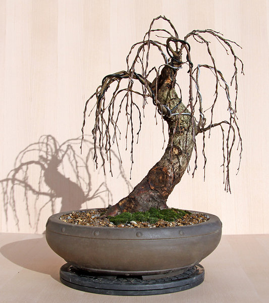 Mai 2011