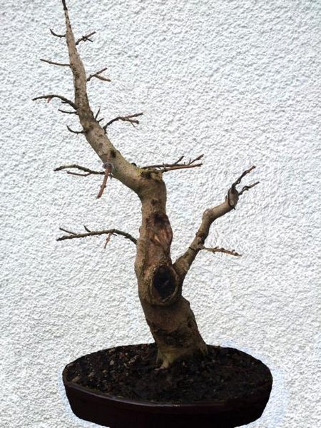 Feldahorn Virtual.JPG
