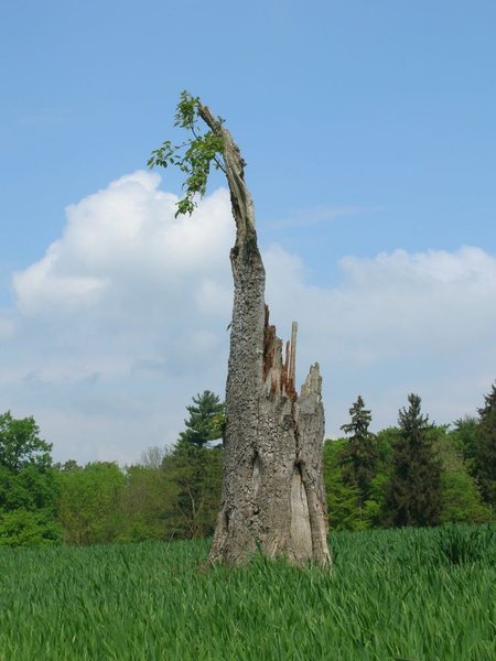 DSCN2259.JPG