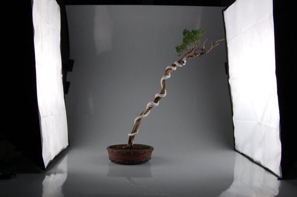DSC_0298(1).jpg
