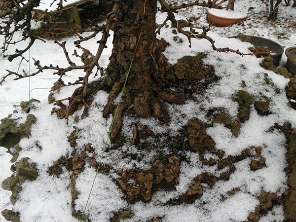 2013-02-22 13.35.35.jpg