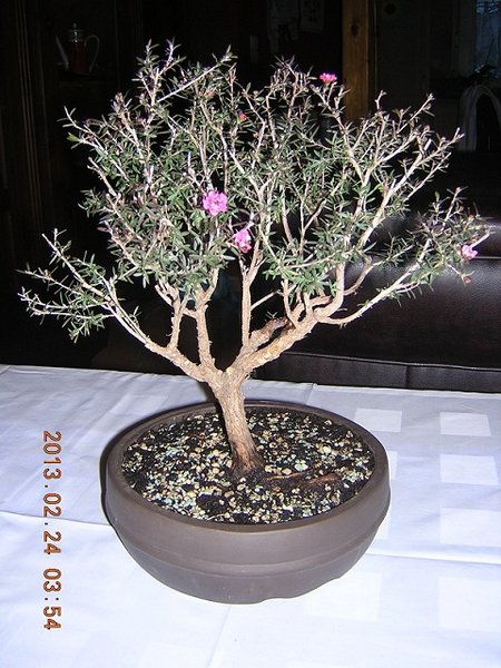 DSCN3875.JPG