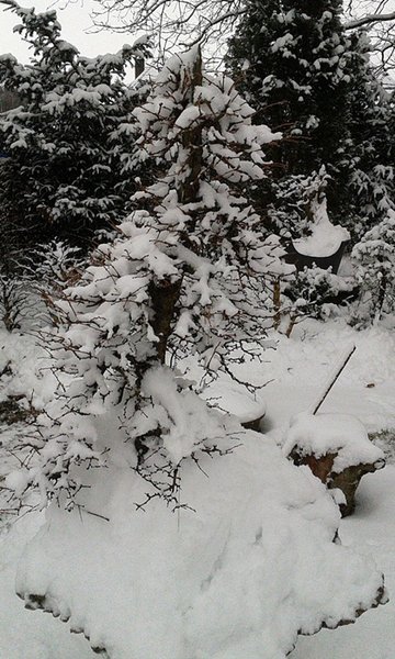 2013-02-24 10.06.17.jpg