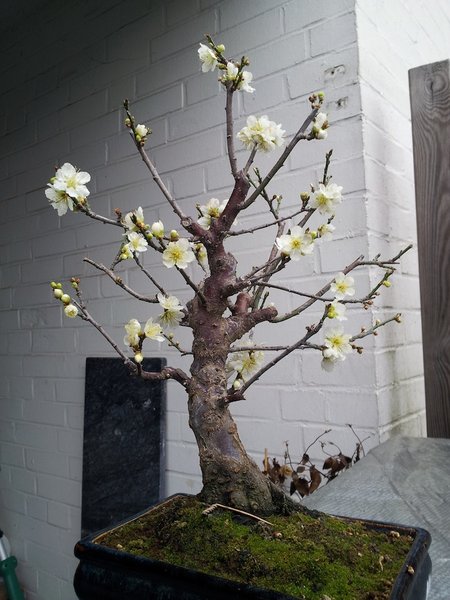 20130224_142627.jpg