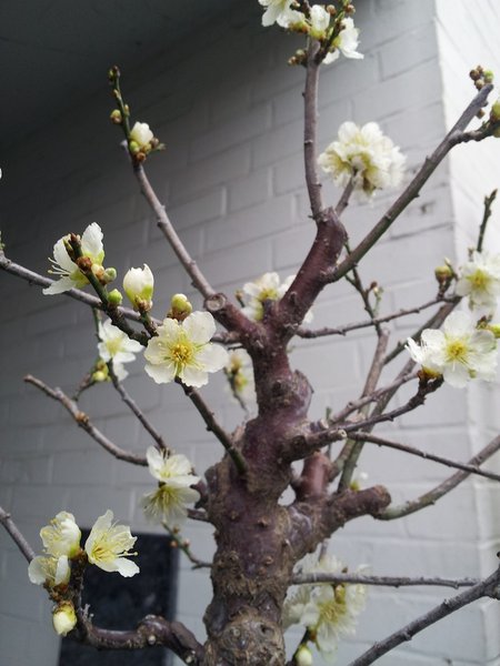 20130224_142704.jpg
