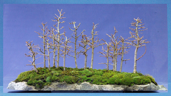 Basaltlava Platte 85 x 37 cm