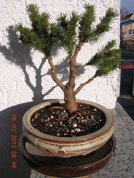 DSCN3890.JPG