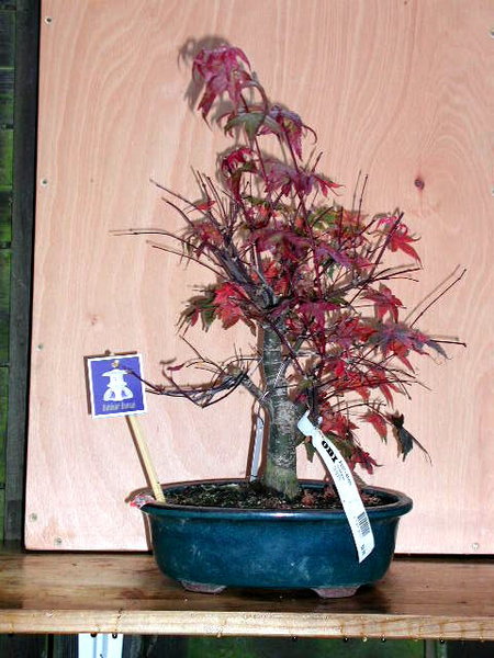 November 2005