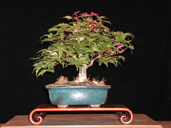 August 2006